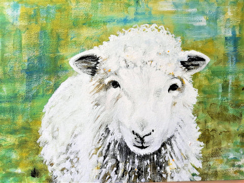 The Friendly Sheep