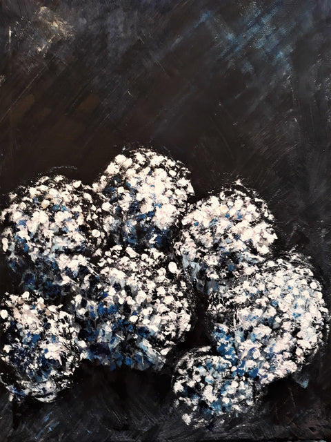 Night Blooms
