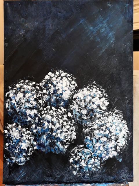 Night Blooms