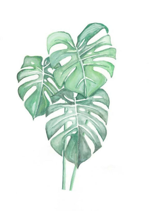 Monsteras Watercolour Print