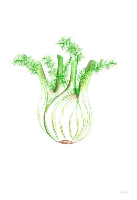 Fennel Print