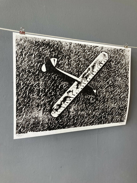 Seaplane