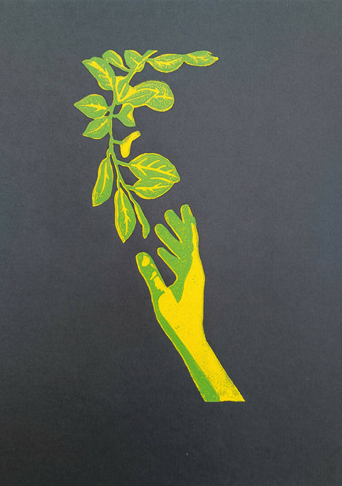 Hand & Branch