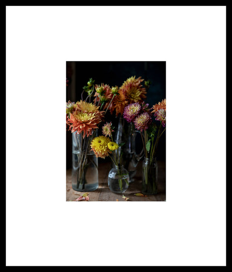 Dahlias in Glass