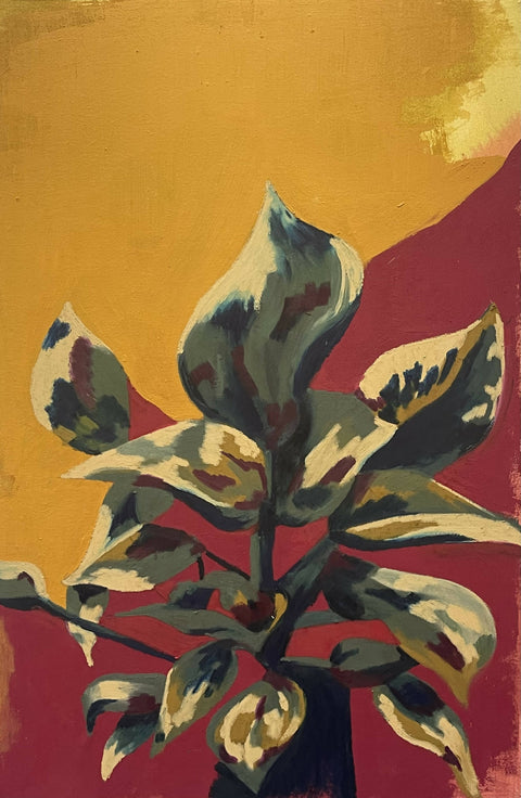 Plant Life in Colour