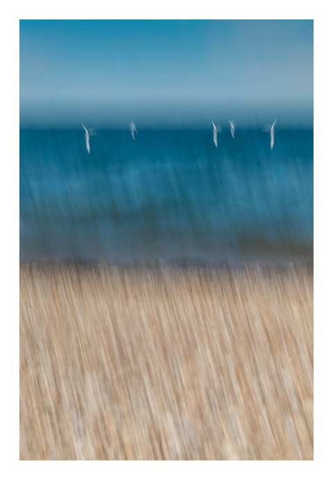Whitstable - Horizons II