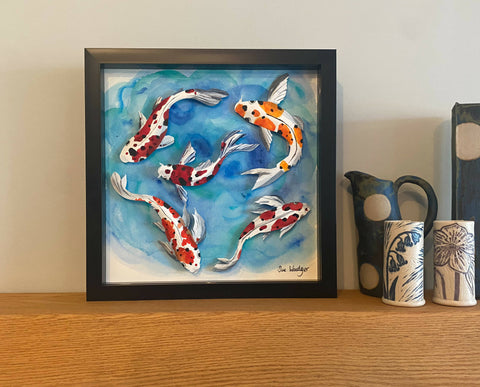 Koi Carp - mellow waters