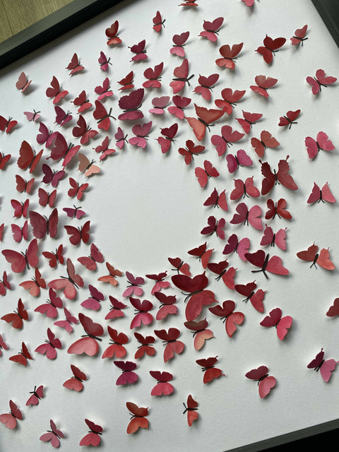 Paper Butterflies - The Journey