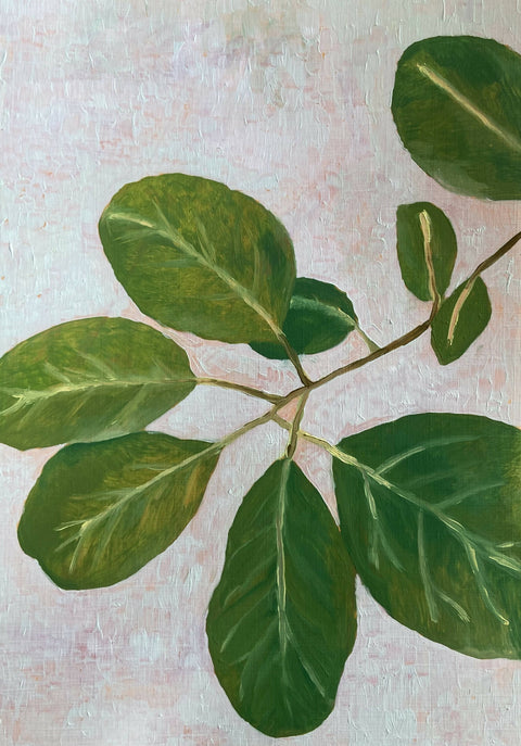Summers garden leaves