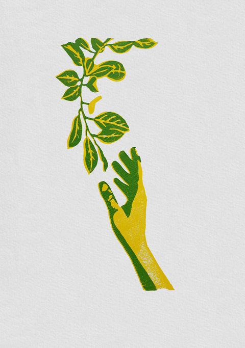 Hand & Branch