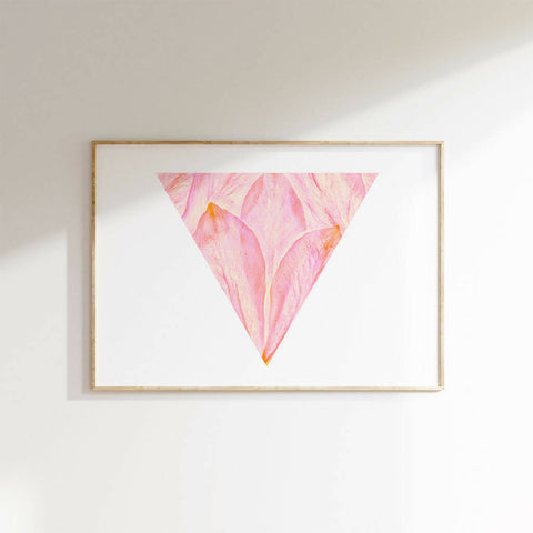 FlowerPowerFramed