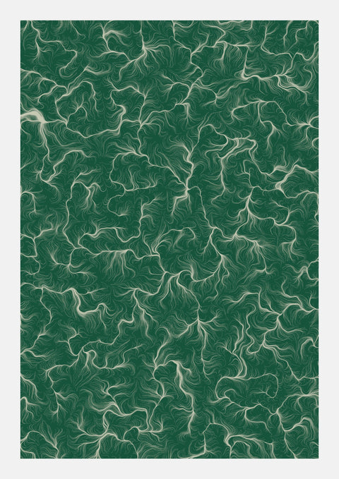 'SERAPHIC ROOT'