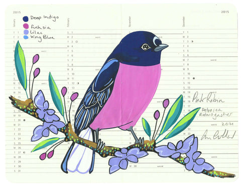 Pink Robin