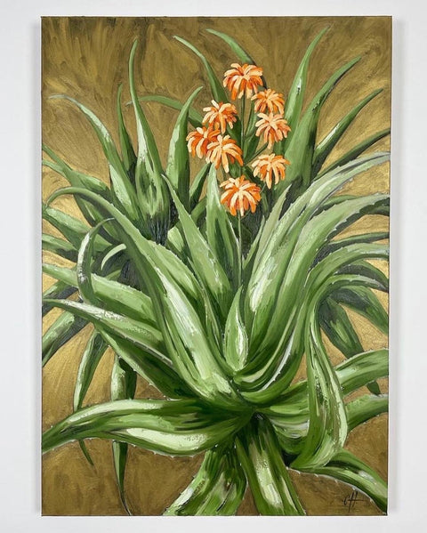 Torch Aloe on Bronze