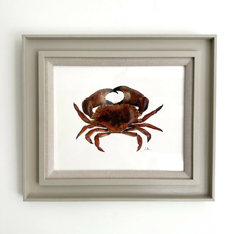 Brown Crab
