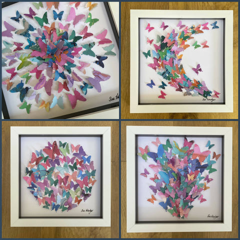 Paper butterfly Curve