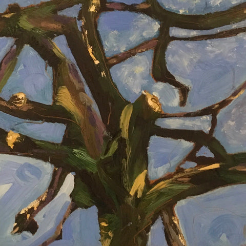 ‘Looking Up’