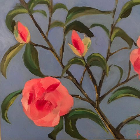 Camelia