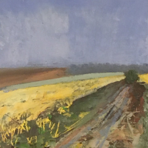 Dawn Chorus
