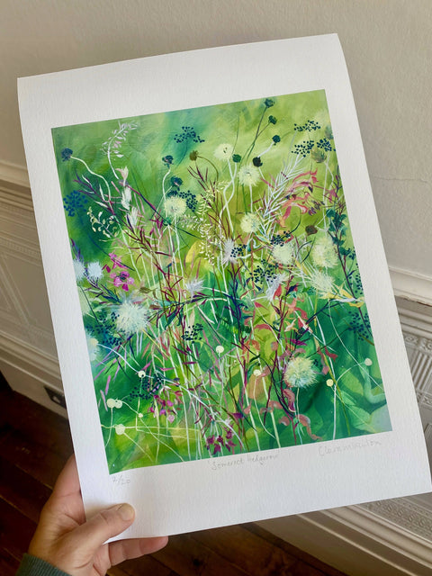 Somerset hedgerow