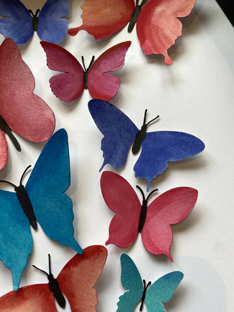 Butterfly Box - Comourful Bouquet