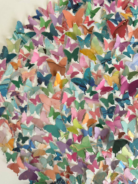 Butterfly Circle - study 2