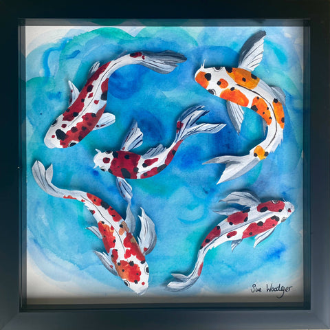 Koi Carp - mellow waters
