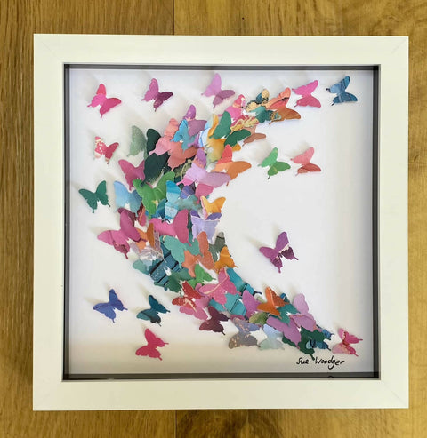 Paper butterfly Curve