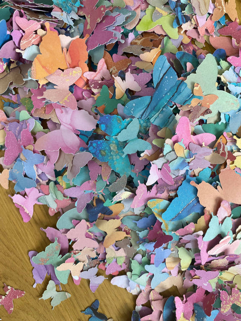 Paper butterfly Curve