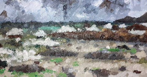 Cloudy day, Dollar cove.