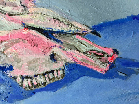 Skull Azul y Rosa
