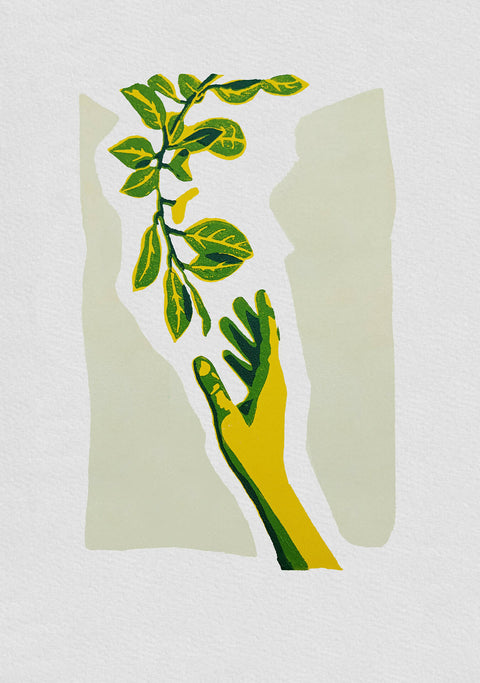 Hand & Branch