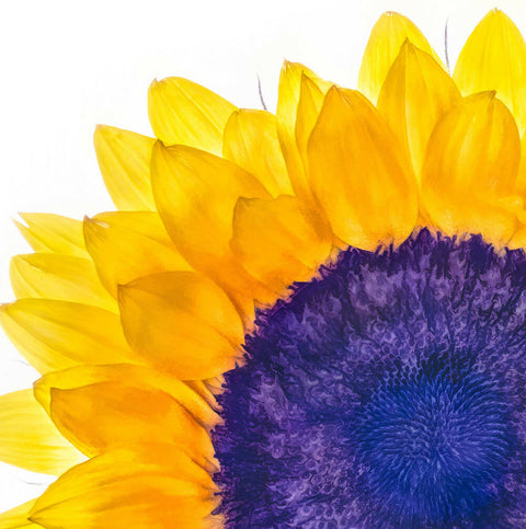 Turing's Sunflower - Giclée Print
