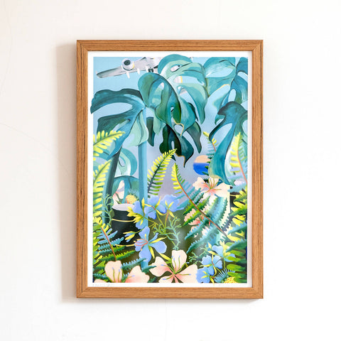 Ferns