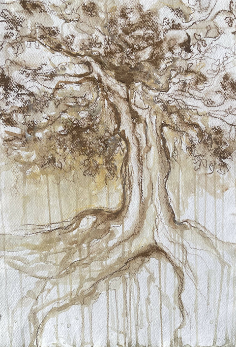 Exploring My Tree
