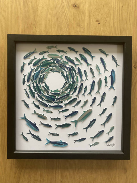 Shoaling fish - study 1