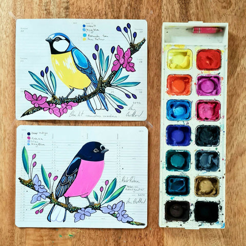 Pink Robin