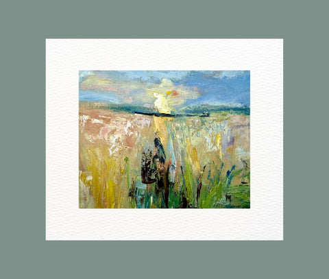 Sunset Field