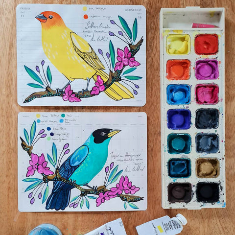 Saffron Finch