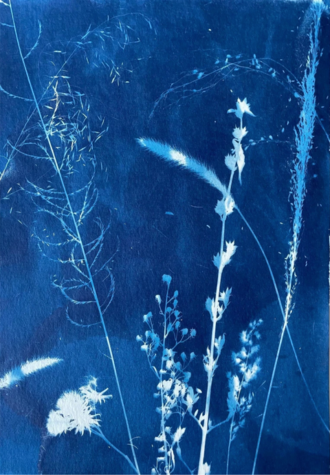 Farm Foragings VII