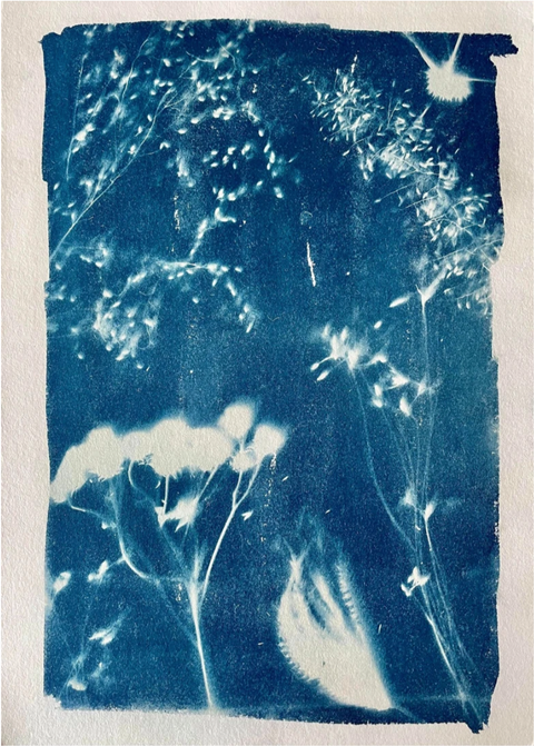 Farm Foragings VIII