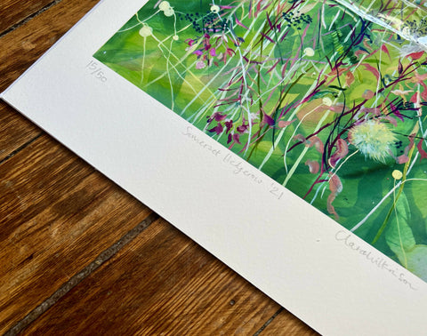 Somerset hedgerow