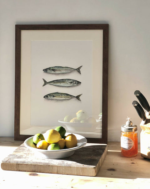 Mackerel