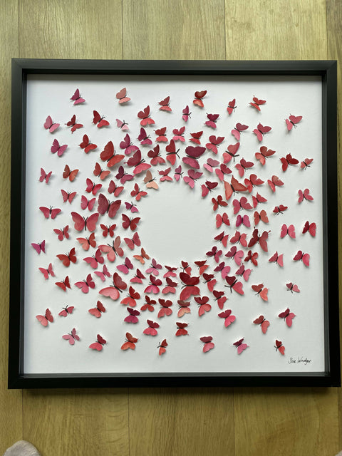 Paper Butterflies - The Journey