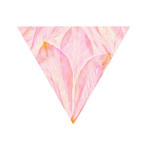 Flower Power - Giclée Print
