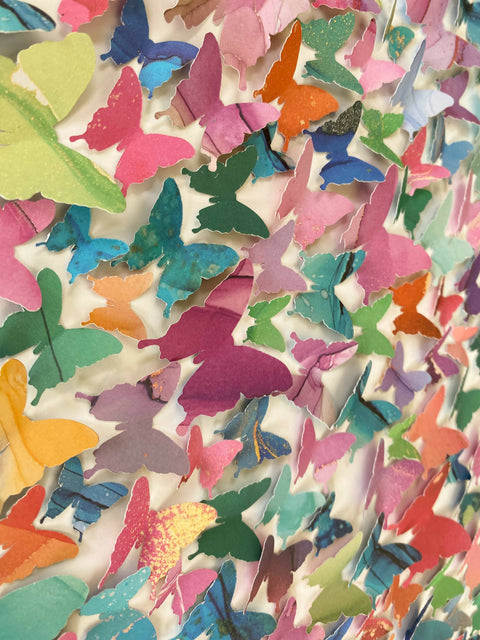 Butterfly Circle - study 2