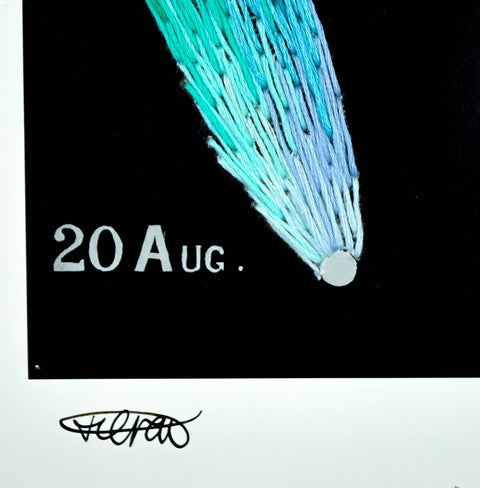 Comet Study no.1