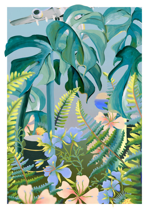 Ferns