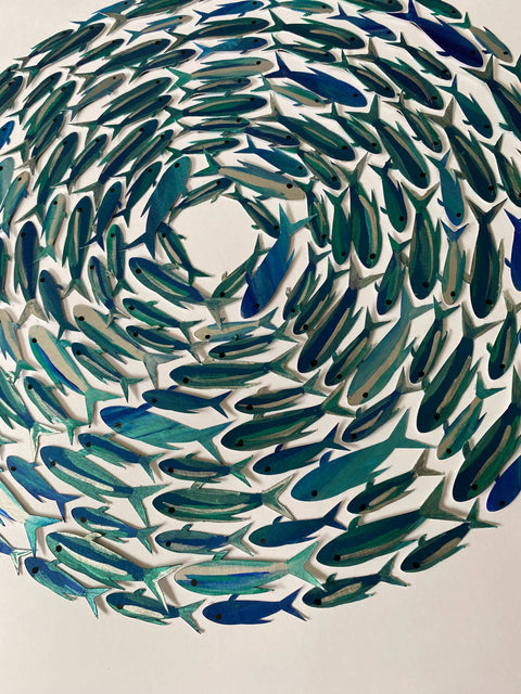 Fish Shoal