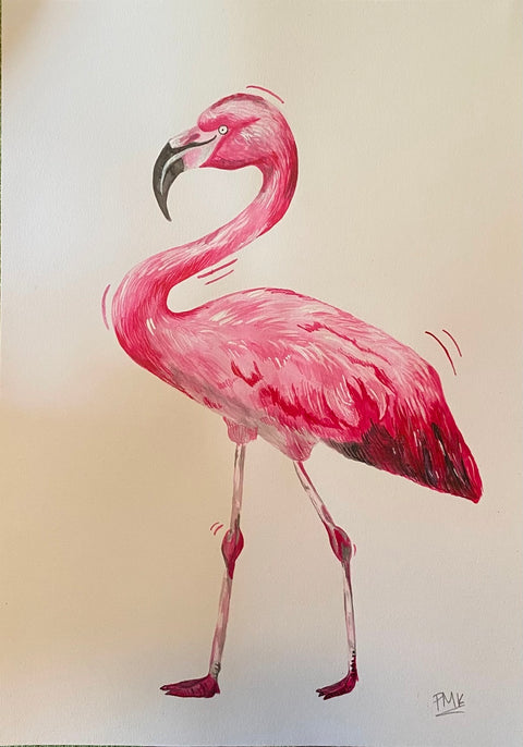 Flamingo